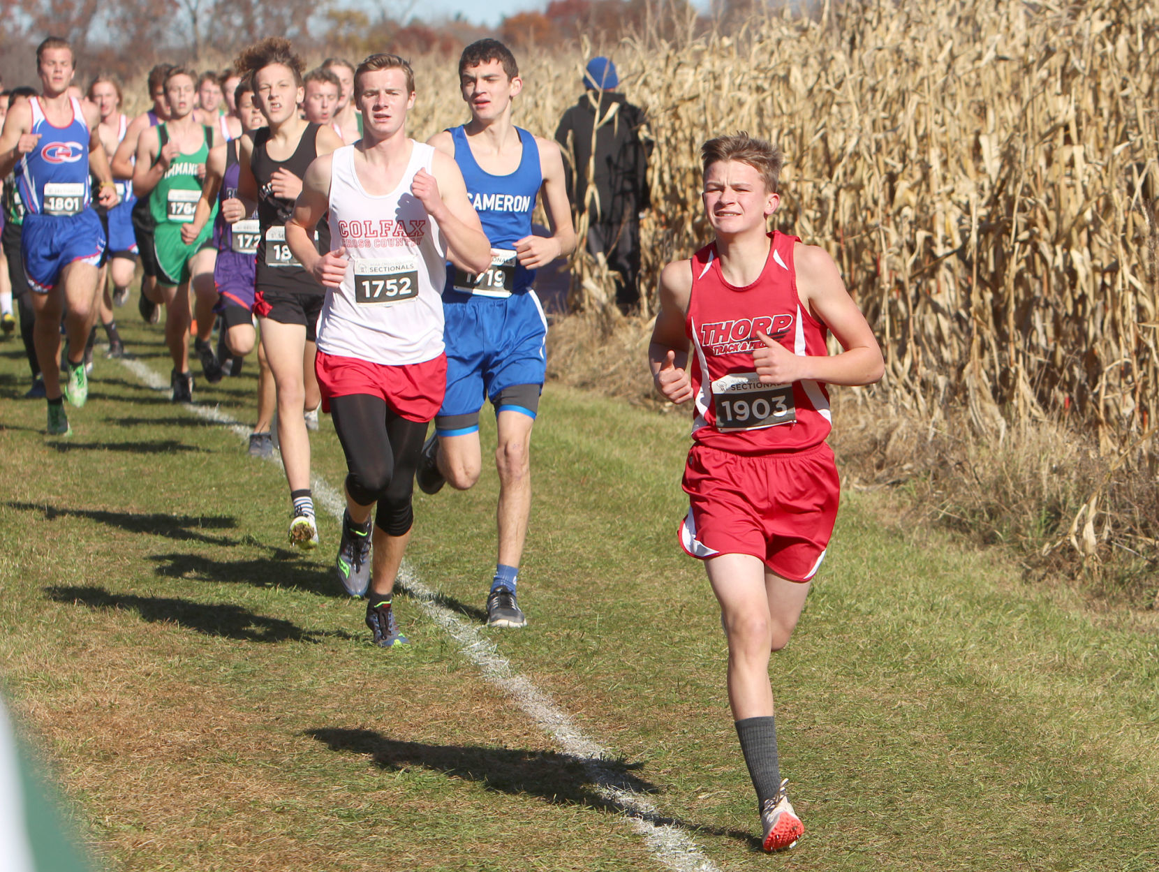 Division 3 Cross Country Sectionals in Boyceville 10-26-19